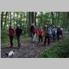 Wander02_Im Stumpfwald.jpg